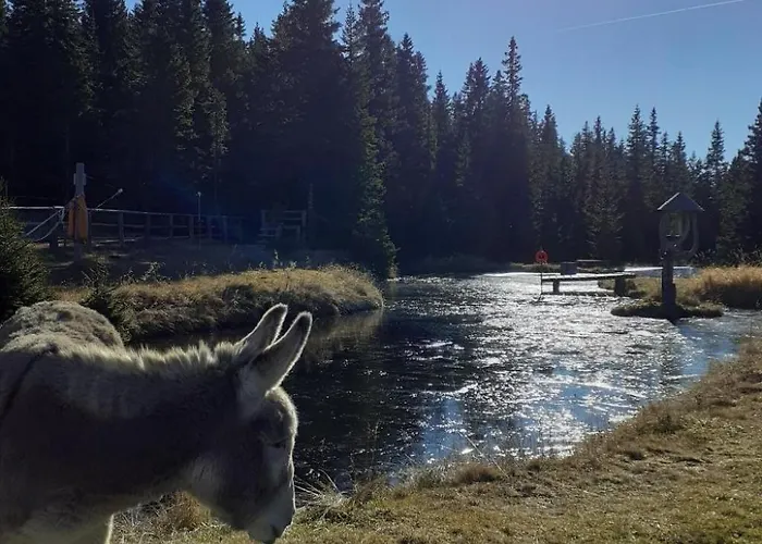Schoenberghuette By Interhome 度假居