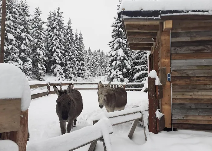 Schoenberghuette By Interhome *